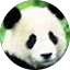 leslie k. Avatar